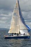 tanit gbr731t ss09 fri rmc 8050